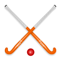 Hockey Stick & Ball