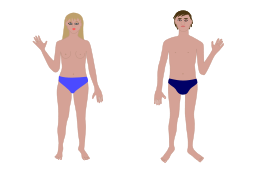 Human body, man and woman