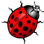 Ladybug Free Vector Image