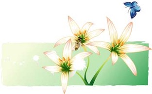 Lili Flower vector 5