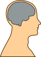 Medical Diagram Of Brain clip art