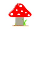 Mushroom / Seta