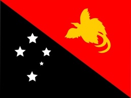 New Flag Sign Oceania Signs Symbols Flags Guinea Melanesia Papua