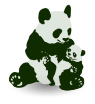 Panda & Baby Panda