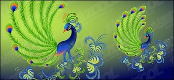 Peacock vector material