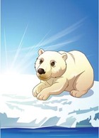 Polar bear 4