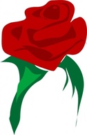 Red Flower Love Rose Rosa Plant Valentine Rosas