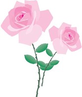 Rose Flower Vetor 27