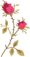 Rose Flower Vetor 29