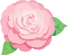 Rose Flower Vetor 30