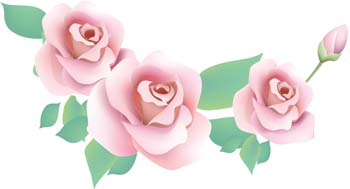 Rose Flower Vetor 51