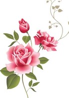 Rose Flower Vetor 53