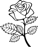 Rose Outline Vector Image