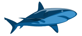 Shark Pure