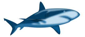 Shark Shaded