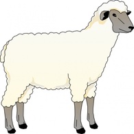 Sheep Ewe clip art