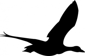 Silhouette Cartoon Birds Bird Fly Flying Goose Animal