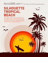 Silhouette Tropical Beach