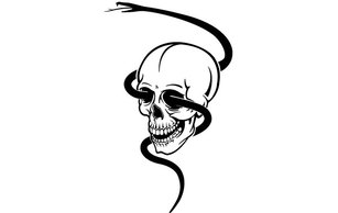 Skull With Black Snake