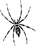 Spider Insect Vector