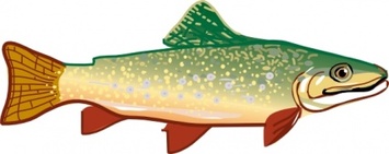 State Michigan Symbols Fish Animal Trout