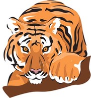Tiger 10