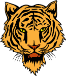 Tiger Head Vector 3