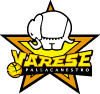 Varese Basketball Vector Logo