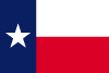 Vector Flag Texas