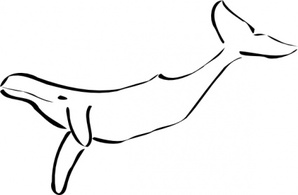 Whale clip art