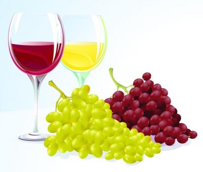 Wine With Grapes Vector