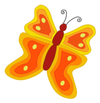 Yellow and orange butterfly