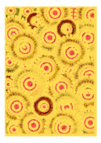 Yellow and Red Circle Pattern Scrapbook Paper