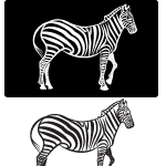 Zebra Vector Image